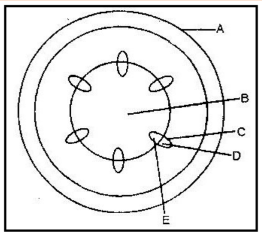 kcse biology essays pdf download