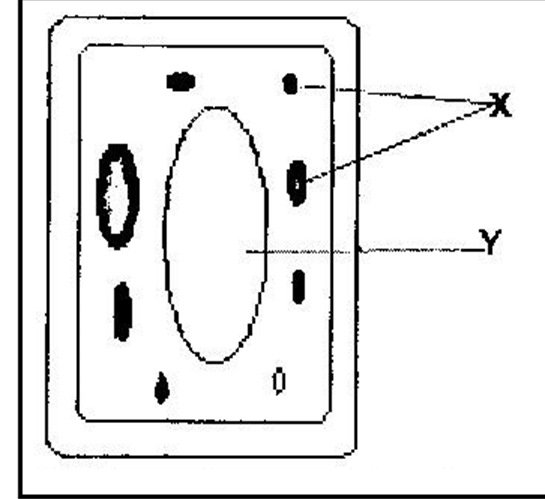 kcse biology essays pdf download