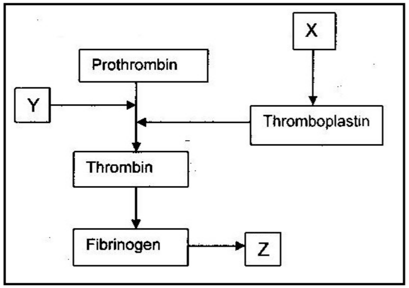 kcse biology essays pdf download