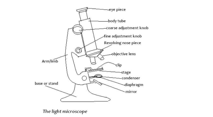 Biology Notes Form 1 PDF | Biology Form 1 Questions and Answers PDF