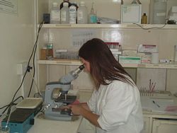 Volunteer in Africa - A Medical Volunteer working in a Medical Lab