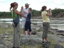 Volunteer Africa Safari